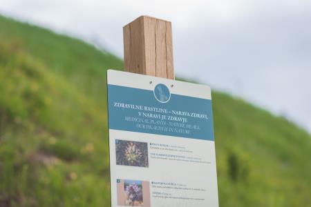 OTVORITEV POTI_VETRNIK_22.5.2021_HQ-23